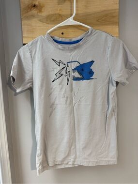 Tea Collection Light Gray Boys T-Shirt, size 14